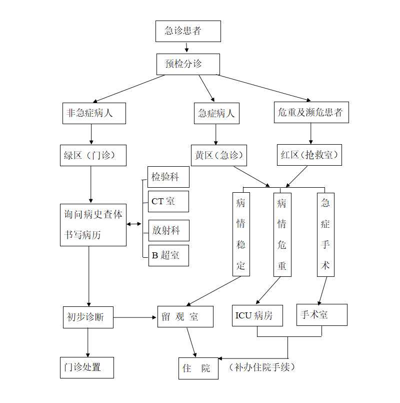 急診患者分級救治流程(1).jpg